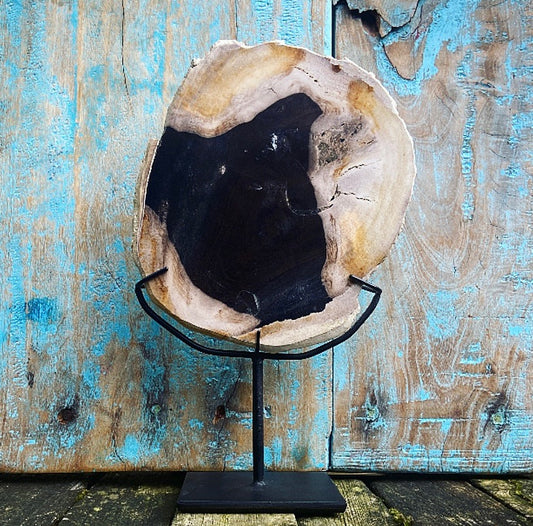 Versteend hout op voet "Oerkracht"