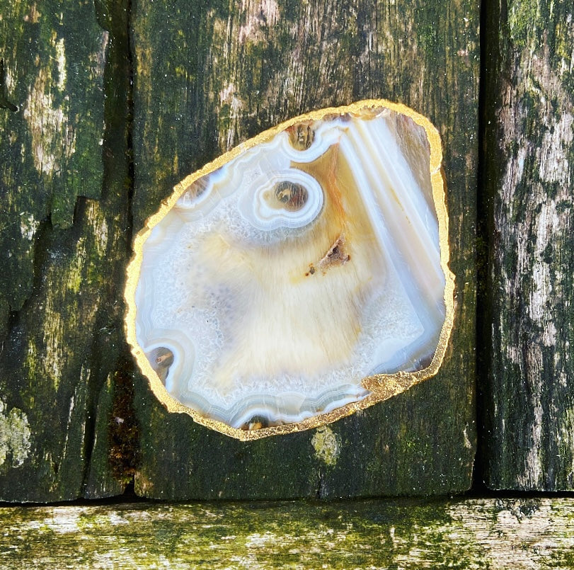 Onderzetter van Crazy Lace Agaat "Familiebanden"