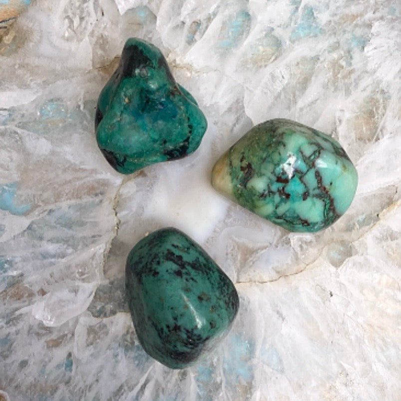 Chrysocolla tumbled stone "ENERGY DOSING"
