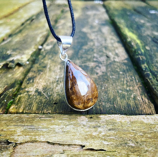Bronzite pendant "Artist of Life"