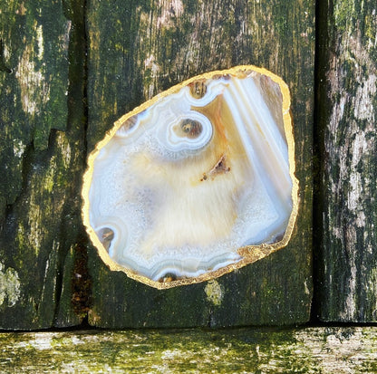 Onderzetter van Crazy Lace Agaat "Familiebanden"