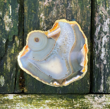 Onderzetter van Crazy Lace Agaat "Familiebanden"