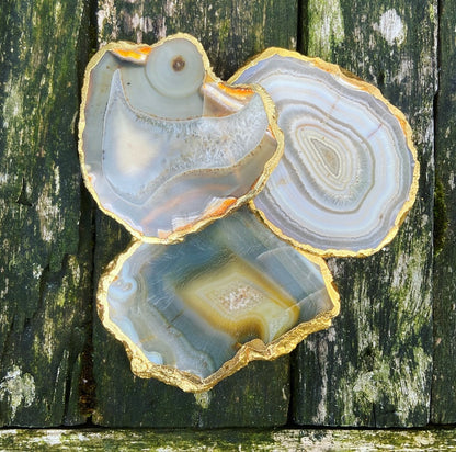 Onderzetter van Crazy Lace Agaat "Familiebanden"