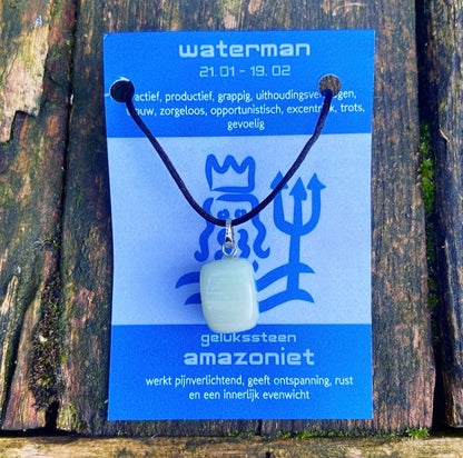 Sterrenbeeld edelsteen hanger "Waterman" (21-1/9-2)