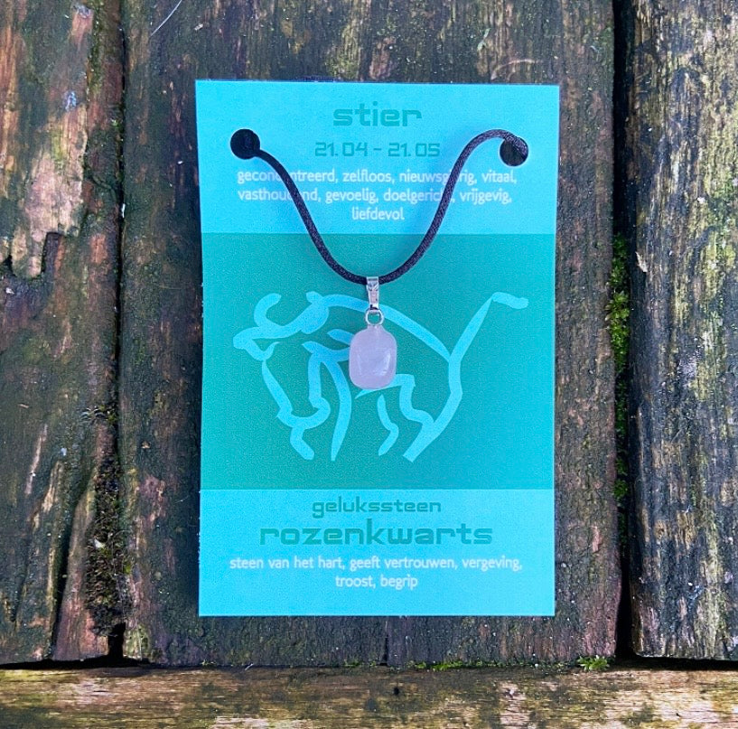 Sterrenbeeld edelsteen hanger "Stier" (21-4/20-5)