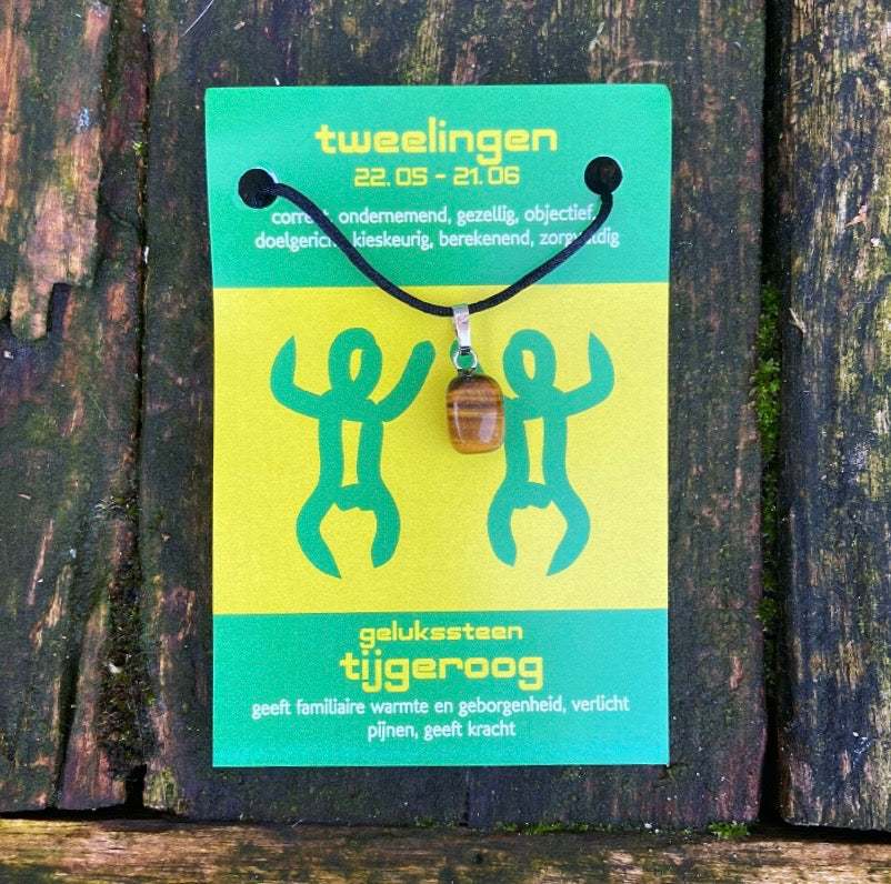 Sterrenbeeld edelsteen hanger "Tweelingen" (21-5/21-6)