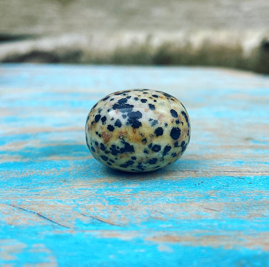 Dalmatiër Jaspis "Don't Worry, Be Happy"